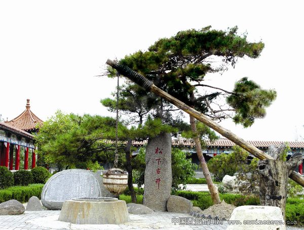 酒厂内松下古井